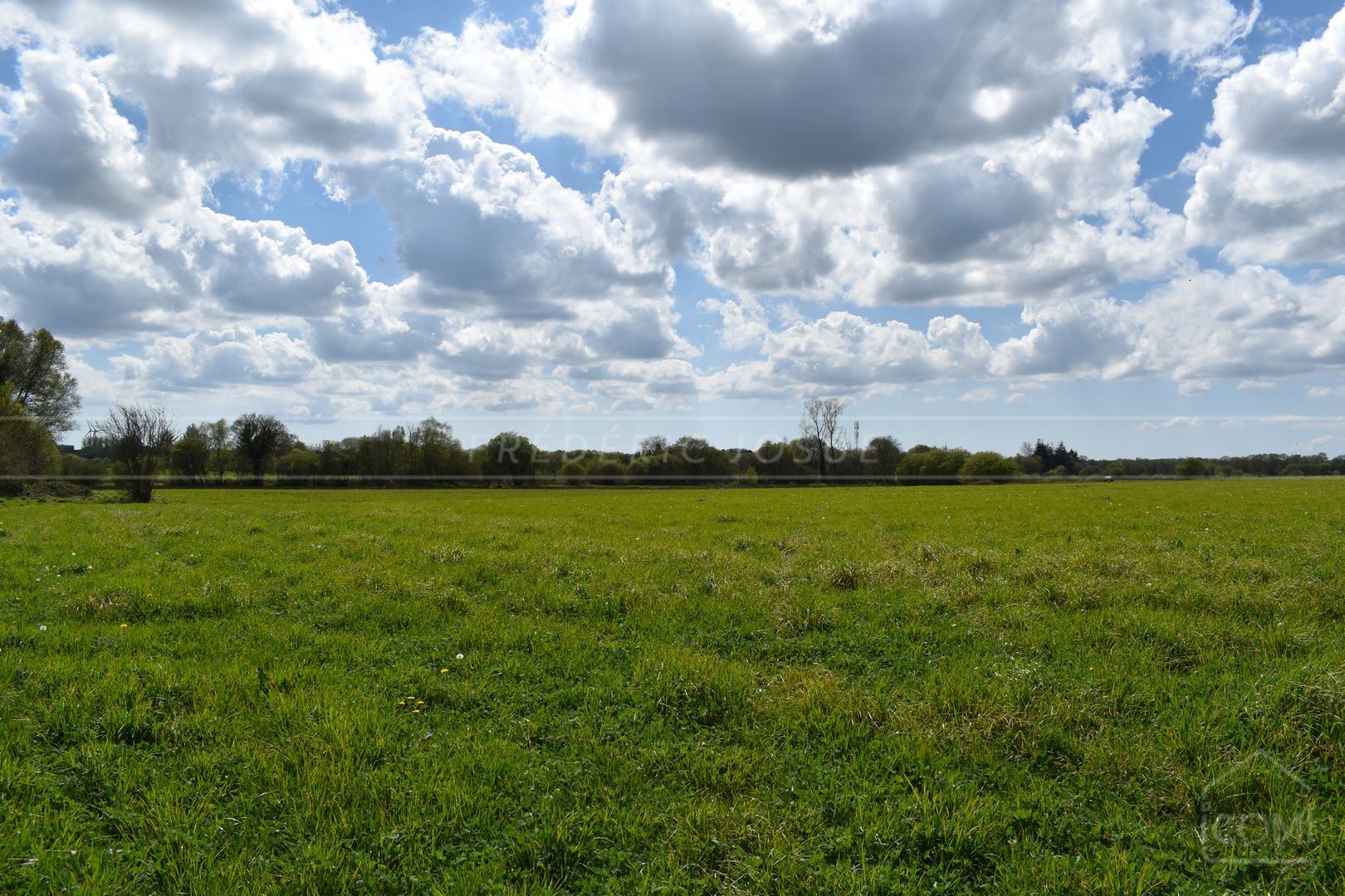 TERRAIN AGRICOLE - PROCHE CENTRE VILLE - IDEAL POUR CHEVAUX - EXPOSITION SUD - ACCES FACILE photo 4